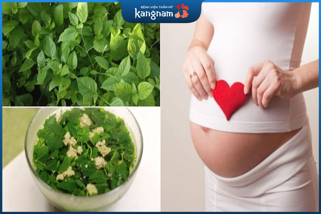 Bà bầu không nên ăn rau ngót bởi sẽ tăng nguy có sảy thai