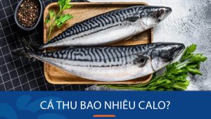 Cá thu bao nhiêu calo – ăn quá nhiều cá thu có béo không