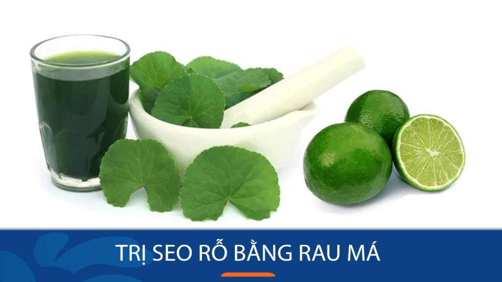 [6 Bí Quyết Vàng] Trị Sẹo Rỗ Mịn Màng Nhờ Rau Má – Hiệu Quả Sau 7 Ngày