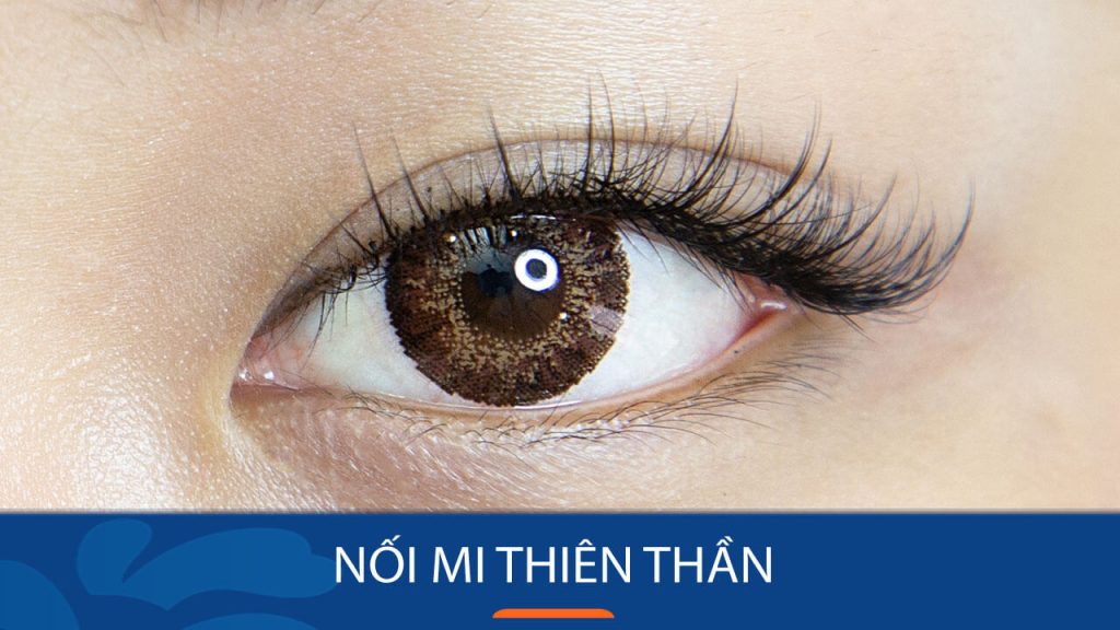 Nối mi thiên thần: Sự lựa chọn hoàn hảo cho vẻ đẹp tự nhiên