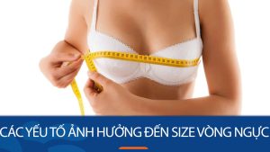 7 yếu tố ảnh hưởng đến size vòng ngực to ở phụ nữ