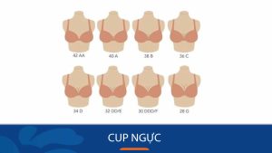 Cup ngực là gì? Cách lựa chọn size cup ngực phù hợp