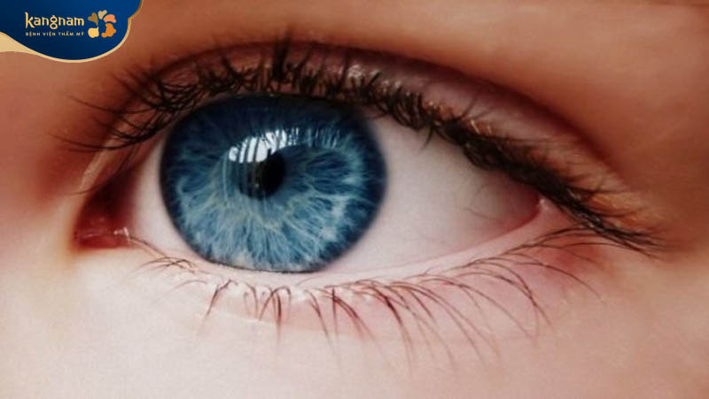 Đôi mắt màu xanh biếc có thể thay đổi theo thời gian do tác động của nhiều yếu tố