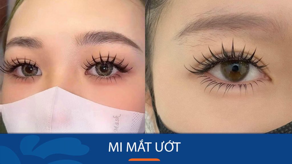 Nối mi mắt ướt là gì? Giải đáp mọi thắc mắc về nối mi ướt