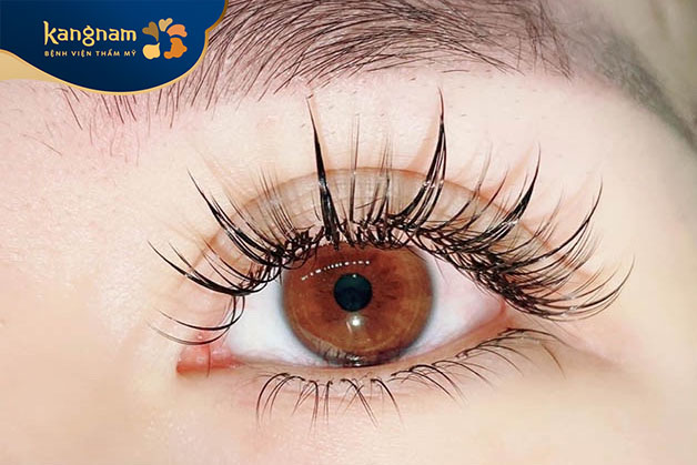 Nối mi tạo hiệu ứng mắt ướt phù hợp với những phụ nữ có đôi mắt to và khuôn mặt tròn