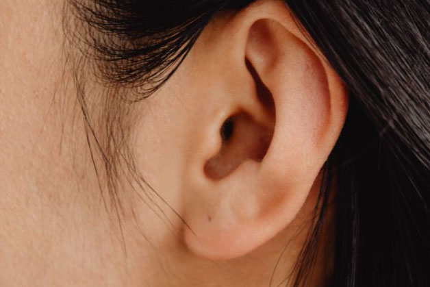 Tai mỏng là dáng tai có phần vành tai nhỏ, mỏng