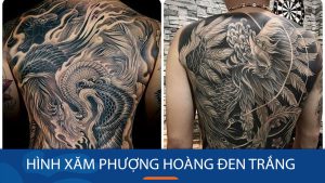 Ý nghĩa hình xăm phượng hoàng đen trắng: Tổng hợp hình ảnh độc đáo