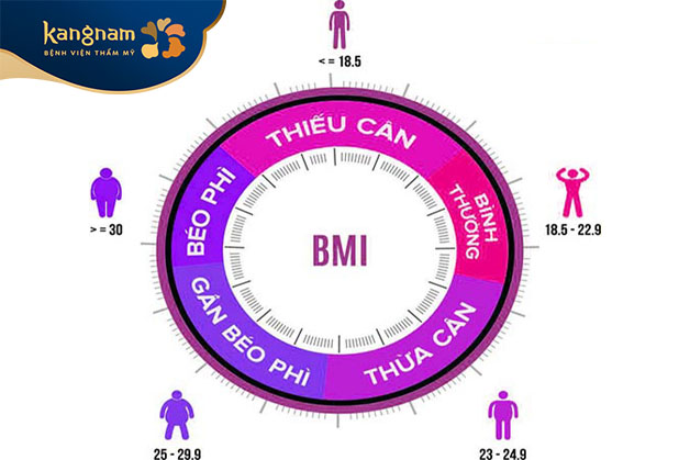 Chỉ số BMI (Body Mass Index)