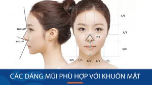 Cách chọn dáng mũi phù hợp với từng khuôn mặt, Tỉ lệ vàng của dáng mũi