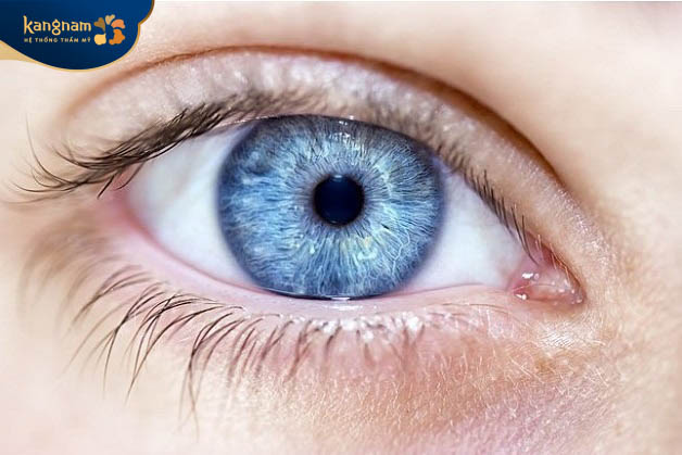 Màu mắt xanh da trời được biết đến là một đột biến gen di truyền trên cơ thể người