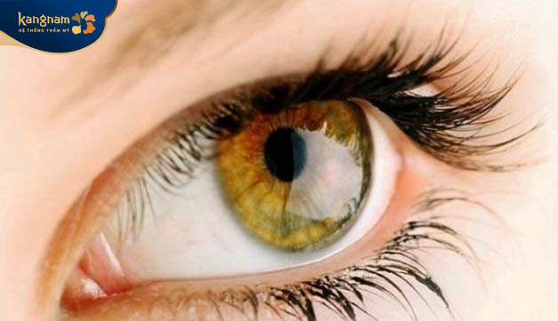 Màu mắt hổ phách chỉ những đôi mắt có màu pha trộn giữa màu nâu đỏ, vàng cam và xanh lục