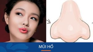 Giải đáp thắc mắc về tướng mũi hổ từ chuyên gia nhân tướng học