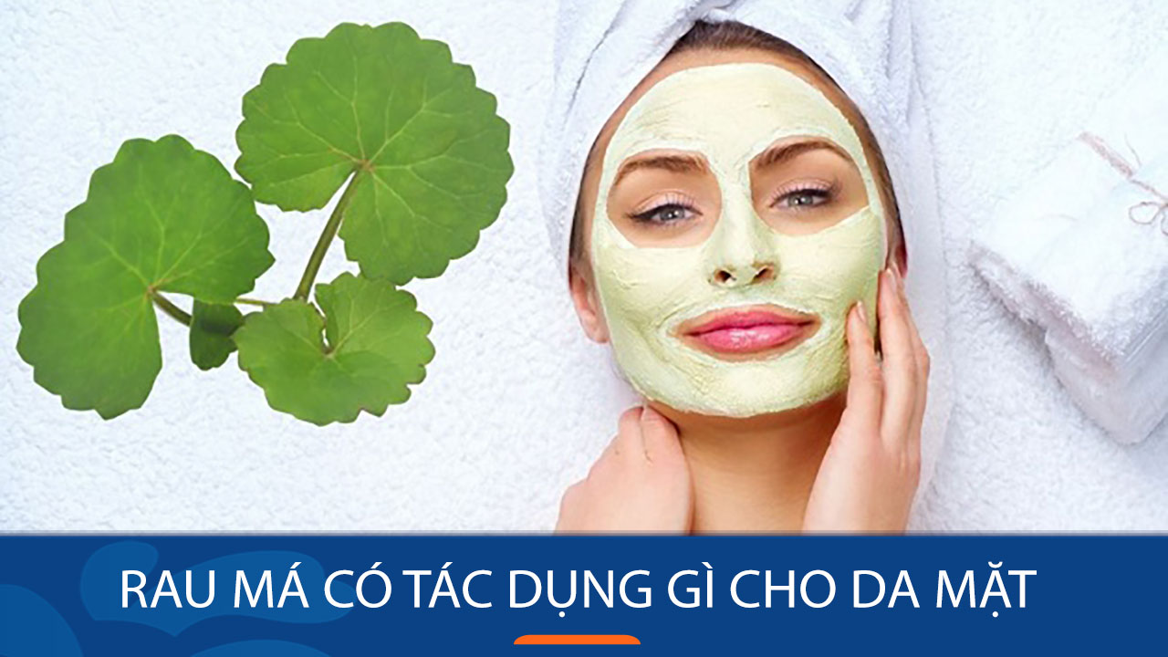 Rau má có tác dụng gì cho da mặt? 8 công dụng tuyệt vời