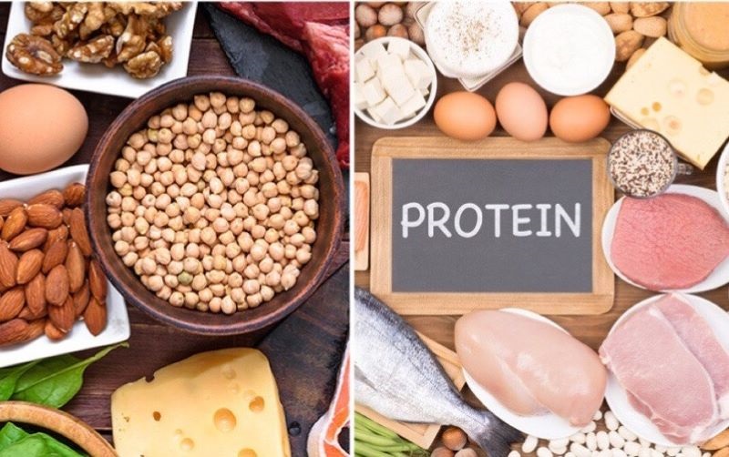 Bổ sung đa dạng các thực phẩm giàu protein