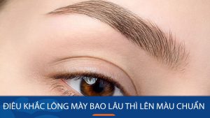 Điêu khắc lông mày sau bao lâu thì lên màu chuẩn?