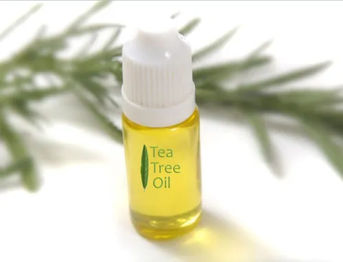 Dầu tràm trà là nguyên liệu trị mụn thịt tại cánh mũi an toàn và dịu nhẹ. trị mụn thịt hai bên cánh mũi