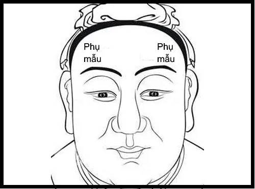 tướng xương trán