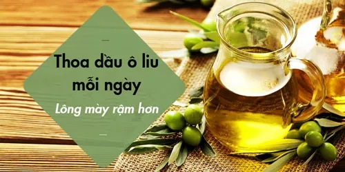 Thoa dầu ô liu để giúp lông mày mọc rậm hơn