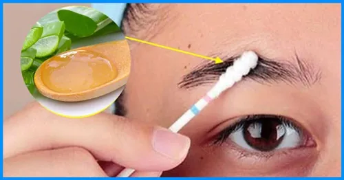 Dùng nha đam sẽ kích thích lông mày phát triển nhanh