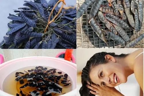 cách gội đầu bằng bồ kết