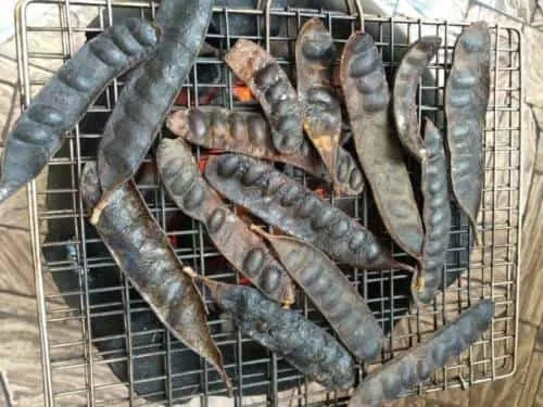 cách nấu bồ kết gội đầu