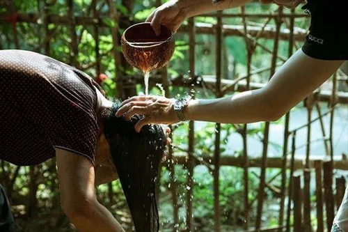 cách nấu trái bồ kết gội đầu