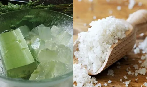 cách ủ tóc bằng gel nha đam