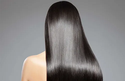 cung cấp dưỡng chất