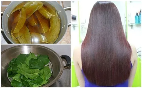 cách chữa rụng tóc sau sinh 