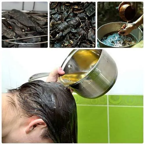 gội đầu bằng bồ kết tóc có nhanh dài