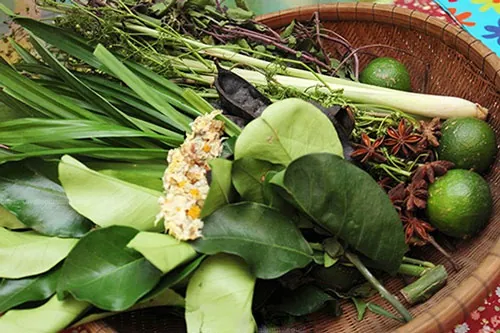 gội đầu bằng bồ kết với sả gội đầu bằng bồ kết với sả