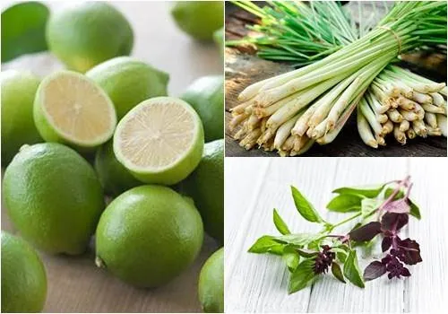 gội đầu bằng nước sả gội đầu bằng nước sả