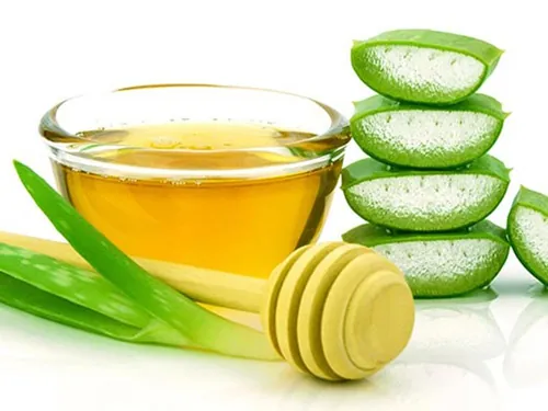 gội đầu bằng nha đam có tác dụng gì