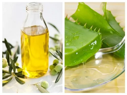 ủ tóc bằng nha đam và dầu oliu