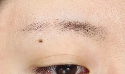 lông mày ngắn đứt đoạn