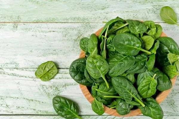 ăn rau chân vịt làm hồng vùng kín 