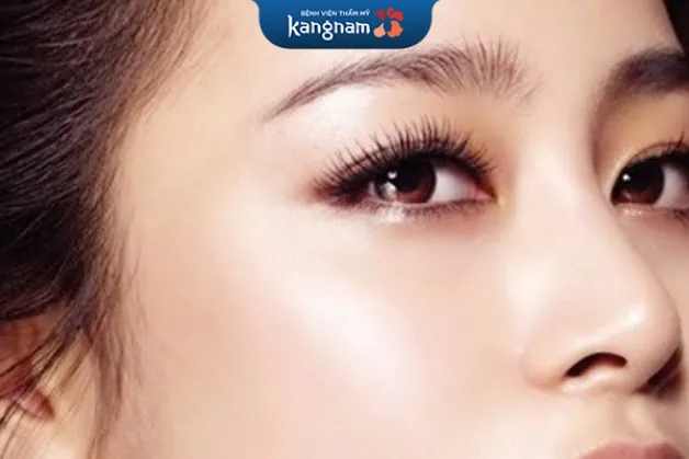 mày như cây chổi còn được nhiều người gọi với cái tên khác là mày sao chổi