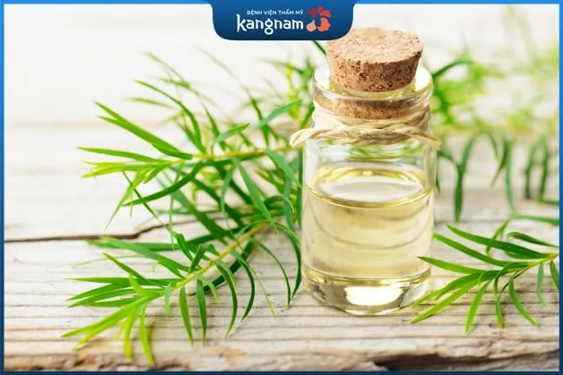 Tinh dầu tràm trà chữa mụn viêm trên má