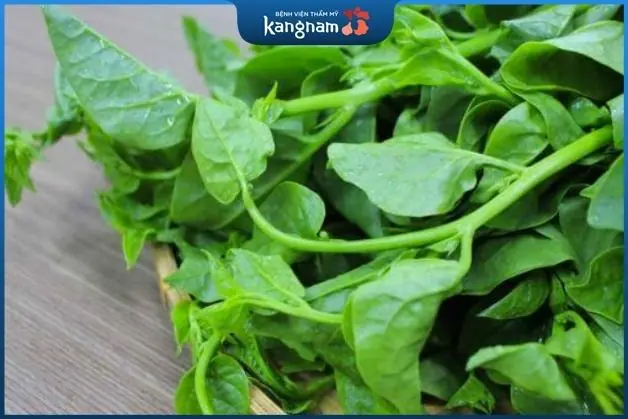 Cắt mí an rau mồng tơi được không?