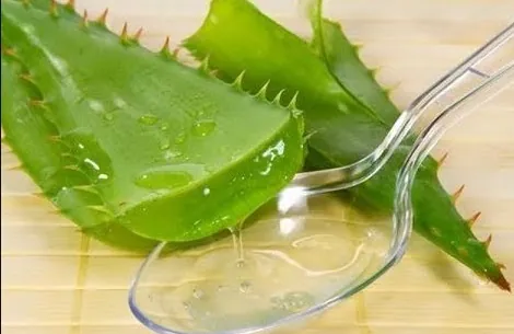 Cách xóa hình xăm bằng nha đam