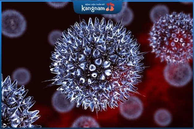 Mụn rộp sinh dục