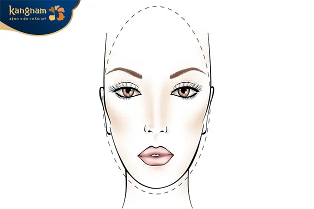 Mặt trái xoan có chiều dài lớn hơn chiều rộng