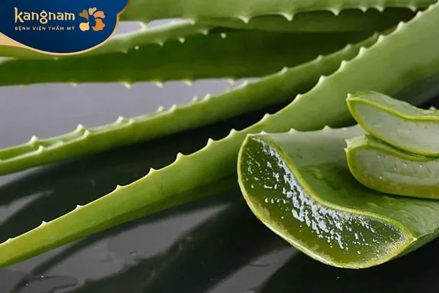 Dùng nha đam trị mụn nang