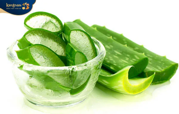 Giải pháp trị mụn trứng cá hiệu quả với nha đam