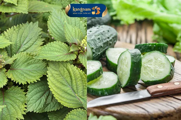 Kết hợp dưa chuột và lá tía tô không chỉ ngừa nám mà còn cân bằng độ pH