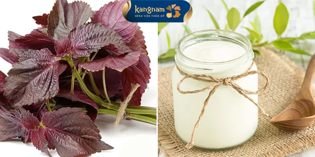 Mặt nạ lá tía tô và sữa chua dễ làm 