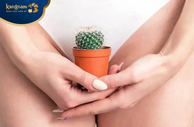 Tình trạng lông trên cơ thể khách hàng ảnh hưởng đến tần suất triệt lông