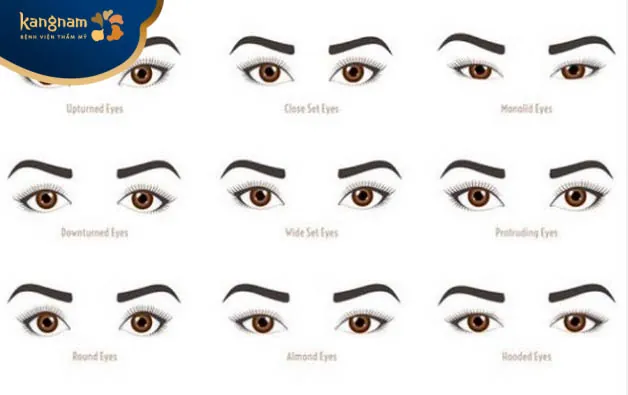 Xem nhân tướng học phụ nữ qua hình dáng đôi mắt