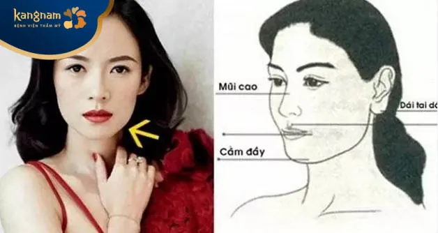 Phụ nữ có tướng mặt giàu sang thường sở hữu vầng trán cao, rộng, đầy đặn