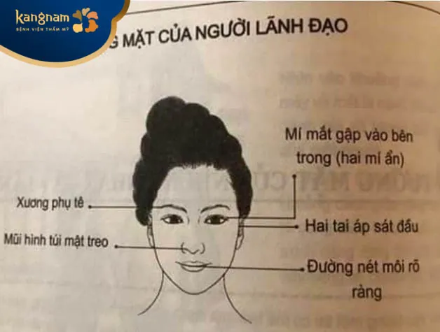 Phụ nữ có tài lãnh đạo có đặc điểm tướng số dễ nhận biết